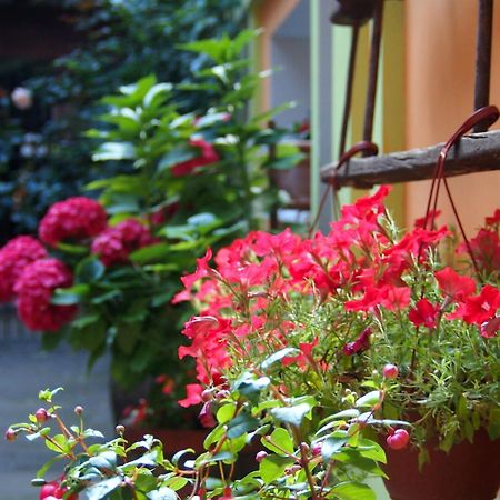 Guest Accommodation Etno Konak Tasana Nis Exterior photo