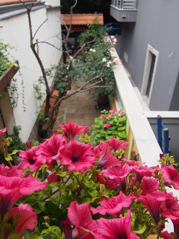 Guest Accommodation Etno Konak Tasana Nis Exterior photo