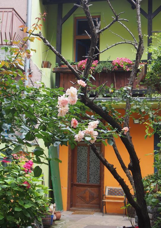 Guest Accommodation Etno Konak Tasana Nis Exterior photo
