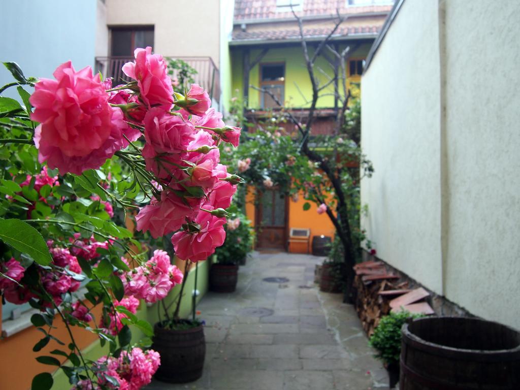 Guest Accommodation Etno Konak Tasana Nis Exterior photo